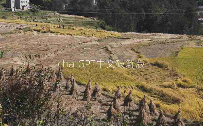 chatGPT中文破解版