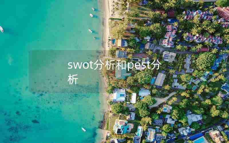 swot分析和pest分析 swot分析和pest分析