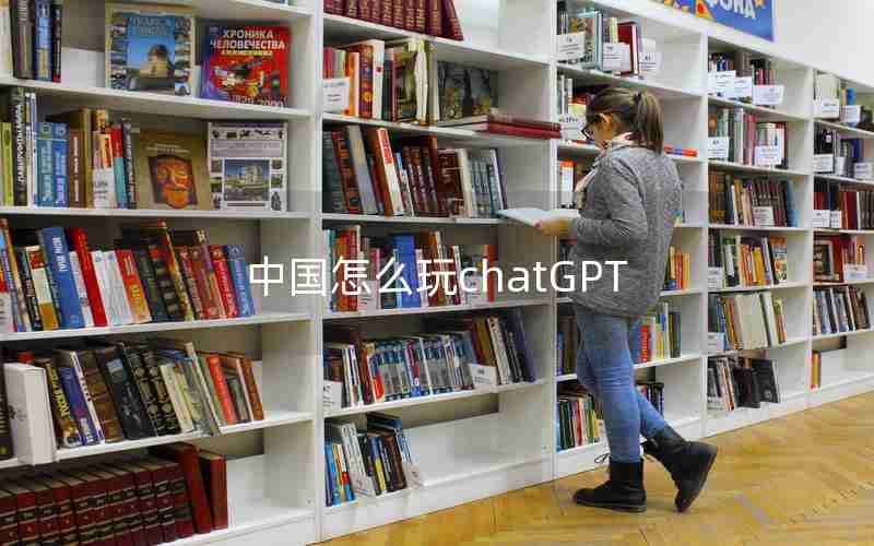 中国怎么玩chatGPT 中国怎么玩chatGPT