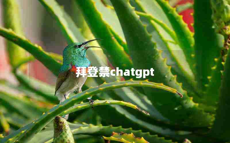 拜登禁chatgpt
