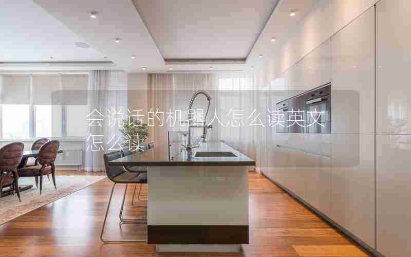 会说话的机器人怎么读英文怎么读