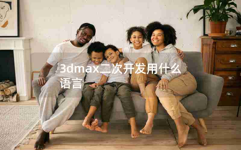 3dmax二次开发用什么语言