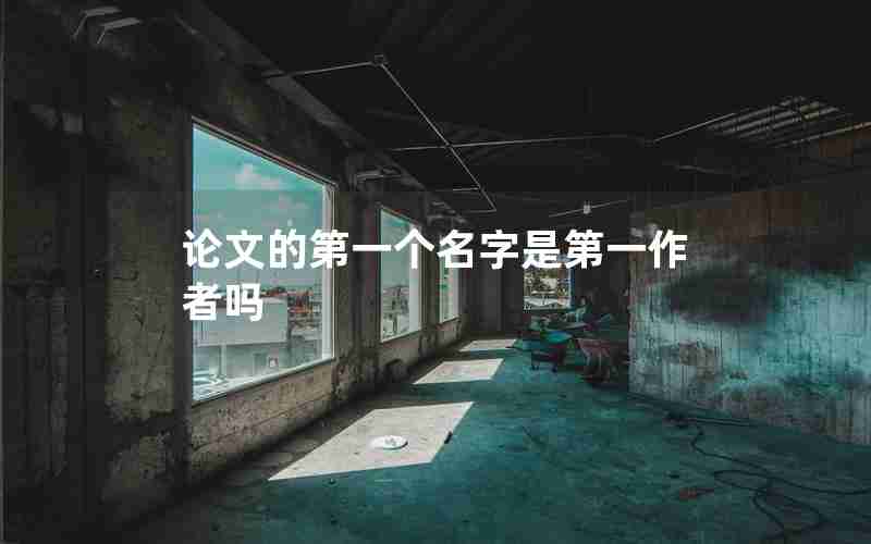 论文的第一个名字是第一作者吗