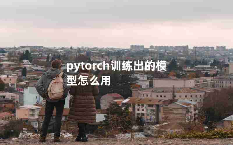 pytorch训练出的模型怎么用 pytorch训练出的模型怎么用
