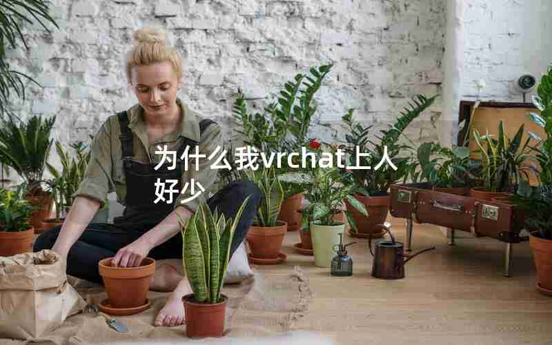 为什么我vrchat上人好少 为什么我vrchat上人好少