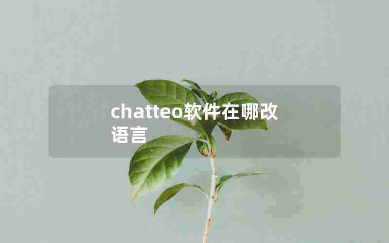 chatteo软件在哪改语言 chatteo软件在哪改语言