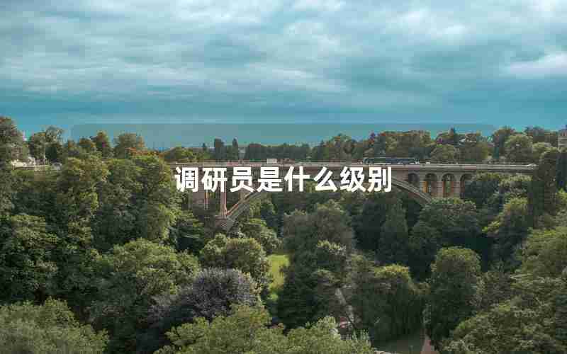 调研员是什么级别