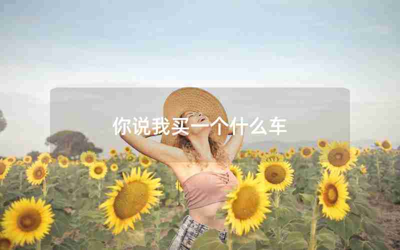 你说我买一个什么车 你说我买一个什么车