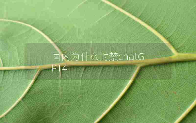国内为什么封禁chatGPT4 国内为什么封禁chatGPT4