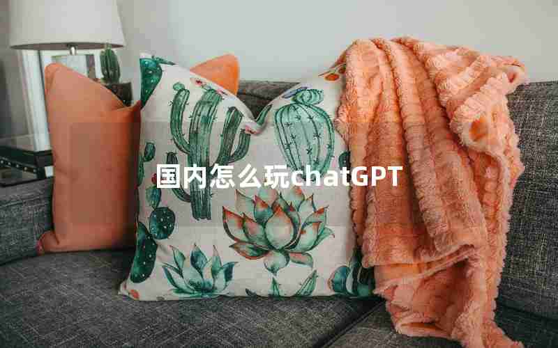 国内怎么玩chatGPT