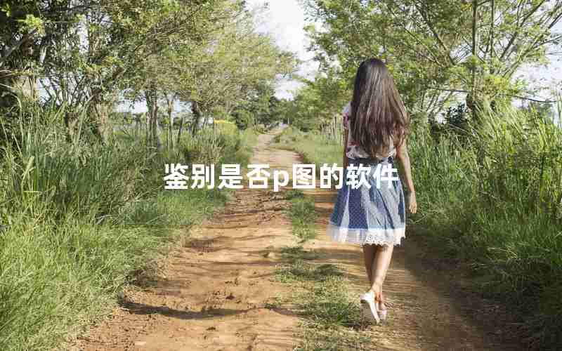 鉴别是否p图的软件 鉴别是否p图的软件