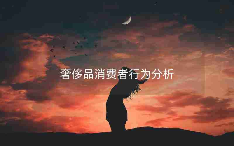 奢侈品消费者行为分析