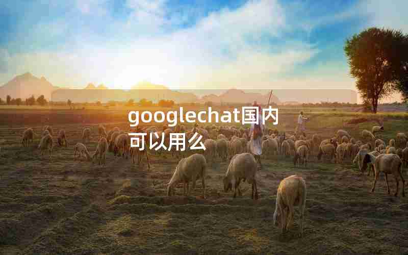 googlechat国内可以用么