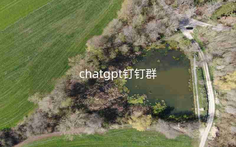 chatgpt钉钉群 chatgpt钉钉群