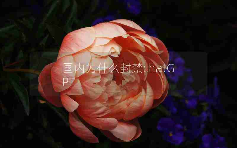 国内为什么封禁chatGPT 国内为什么封禁chatGPT