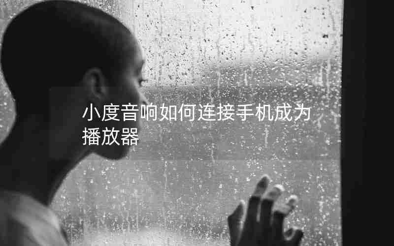 小度音响如何连接手机成为播放器