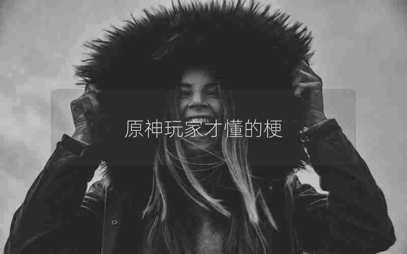 原神玩家才懂的梗