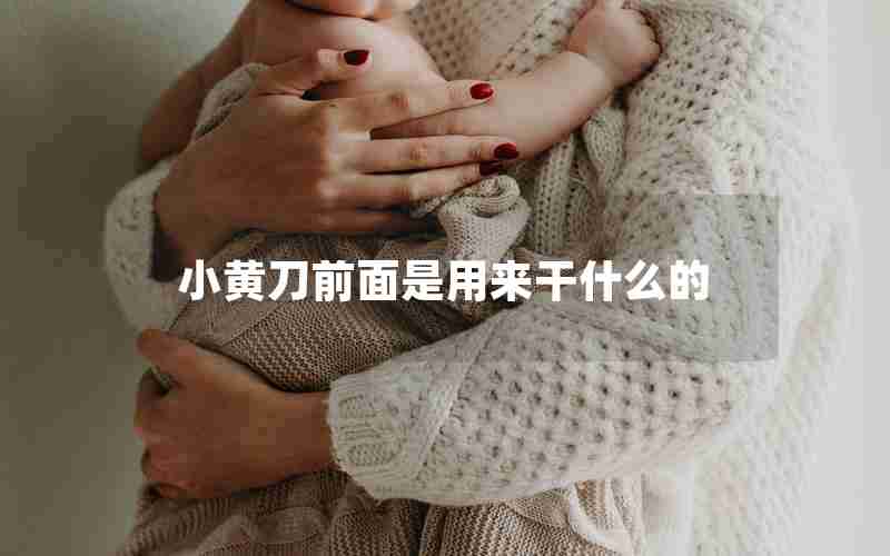 小黄刀前面是用来干什么的