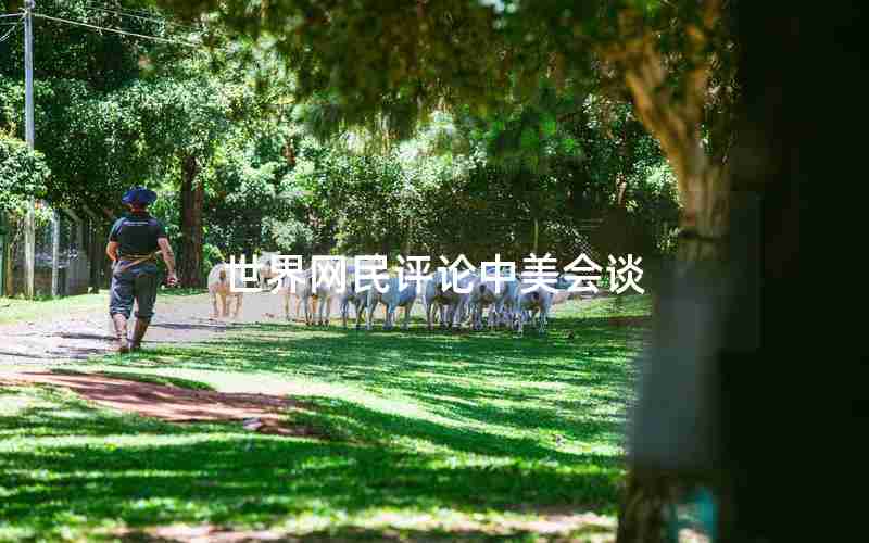 世界网民评论中美会谈