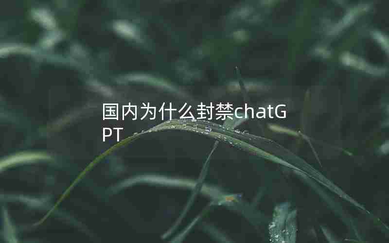 国内为什么封禁chatGPT