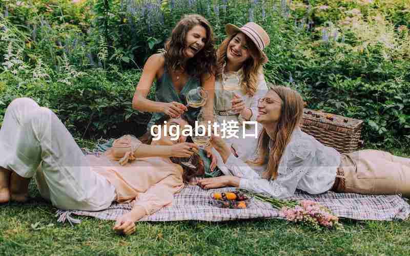 gigabit接口 gigabit接口