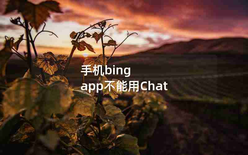 手机bing app不能用Chat 手机bing app不能用Chat