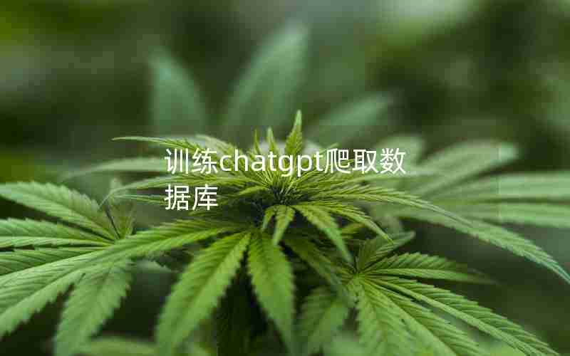 训练chatgpt爬取数据库