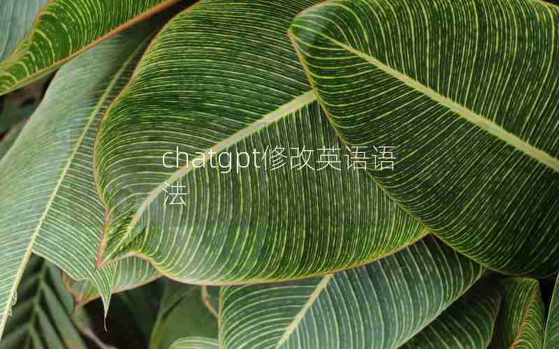 chatgpt修改英语语法 chatgpt修改英语语法