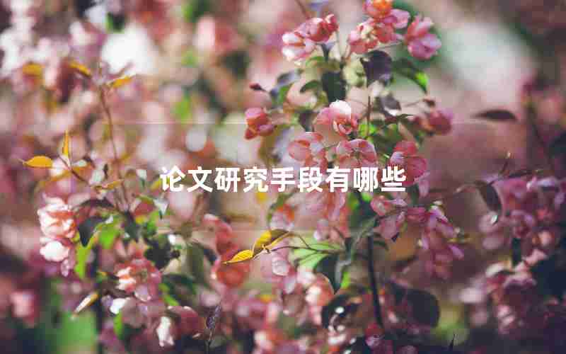 论文研究手段有哪些