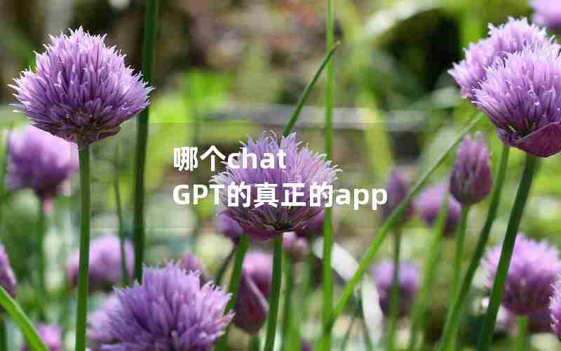 哪个chat GPT的真正的app