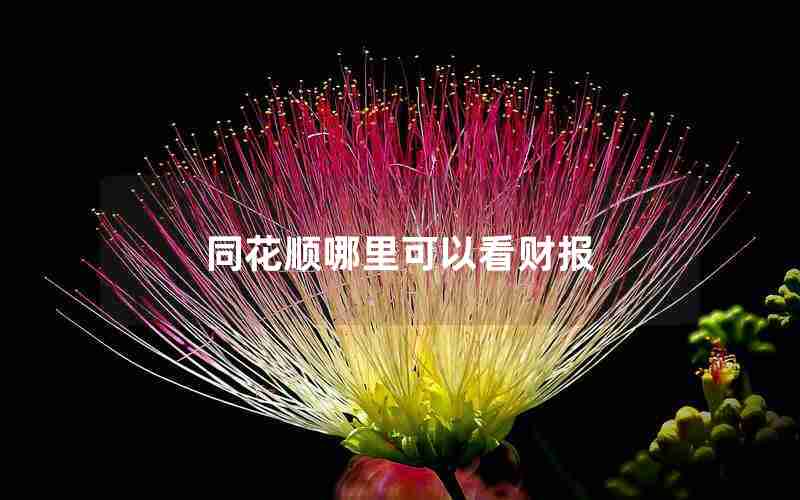 同花顺哪里可以看财报 同花顺哪里可以看财报
