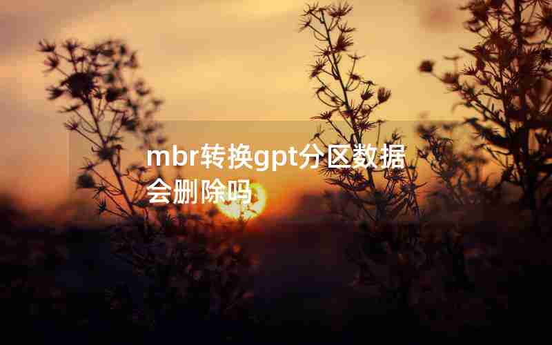 mbr转换gpt分区数据会删除吗