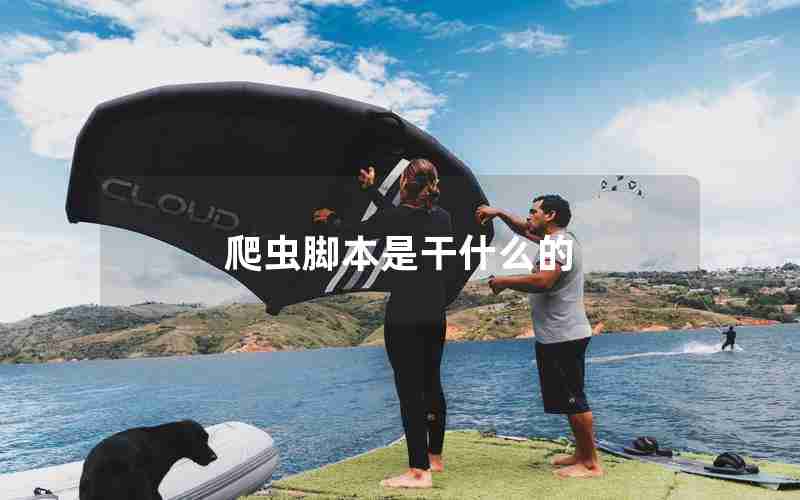 爬虫脚本是干什么的