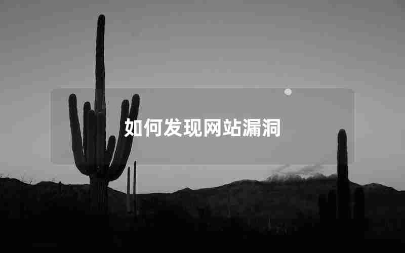 如何发现网站漏洞 如何发现网站漏洞