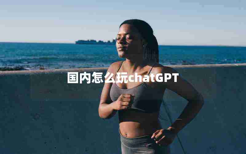 国内怎么玩chatGPT 国内怎么玩chatGPT