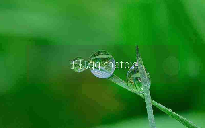 手机qq chatpic