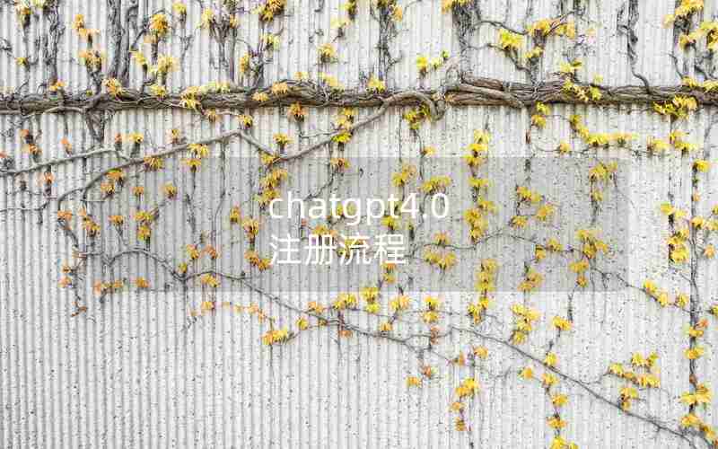 chatgpt4.0 注册流程 chatgpt4.0 注册流程