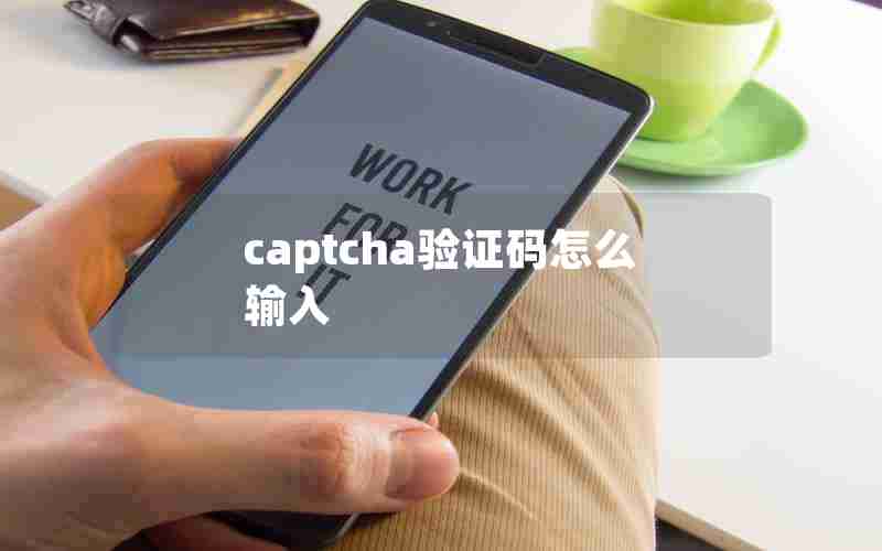 captcha验证码怎么输入