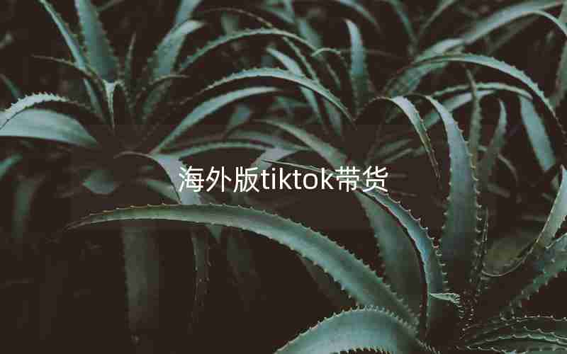 海外版tiktok带货 海外版tiktok带货
