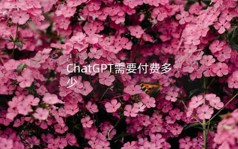 ChatGPT需要付费多少 ChatGPT需要付费多少