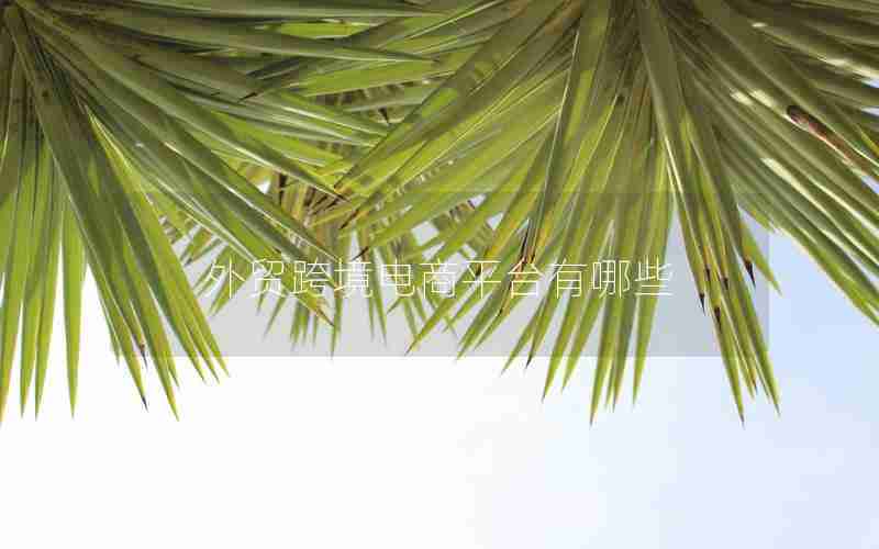 外贸跨境电商平台有哪些 外贸跨境电商平台有哪些