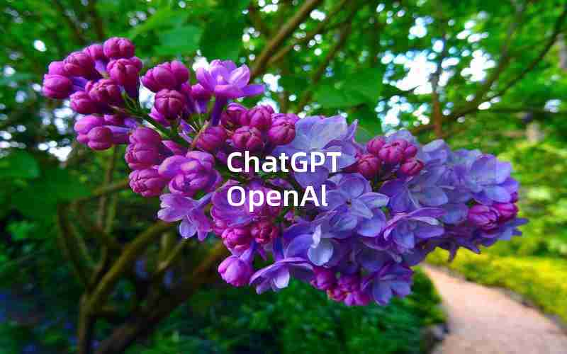 ChatGPT OpenAl