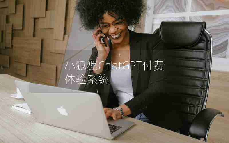小狐狸ChatGPT付费体验系统