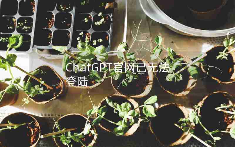 ChatGPT官网已无法登陆