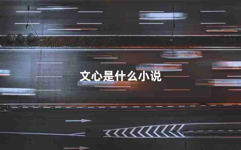 文心是什么小说 文心是什么小说