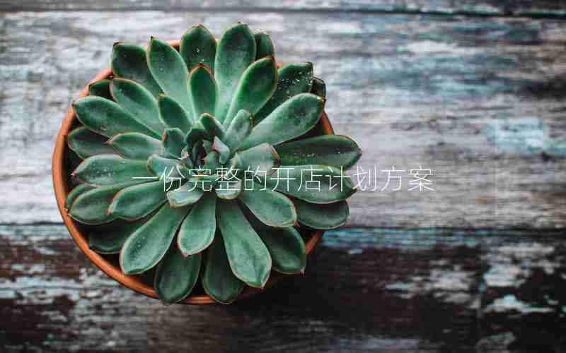 一份完整的开店计划方案