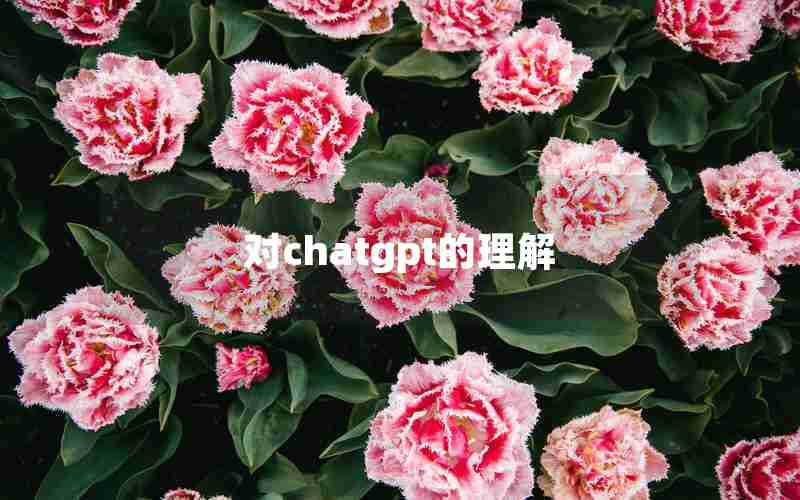 对chatgpt的理解 对chatgpt的理解