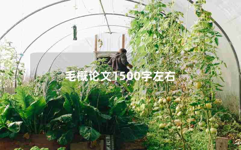 毛概论文1500字左右