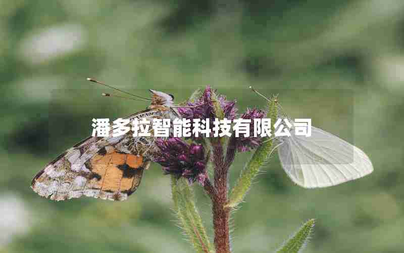 潘多拉智能科技有限公司 潘多拉智能科技有限公司