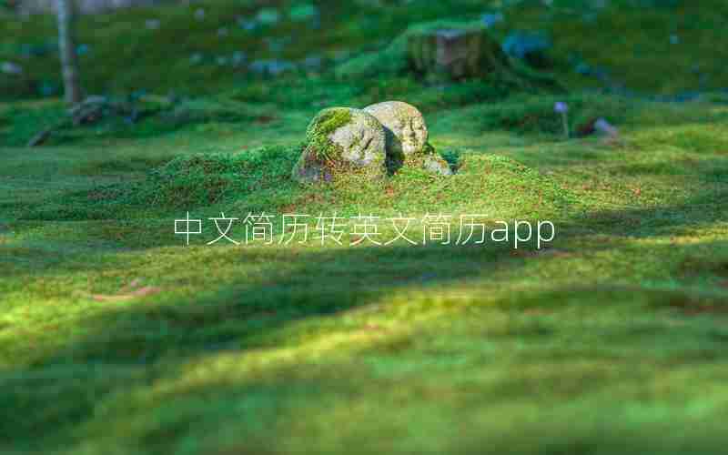 中文简历转英文简历app 中文简历转英文简历app